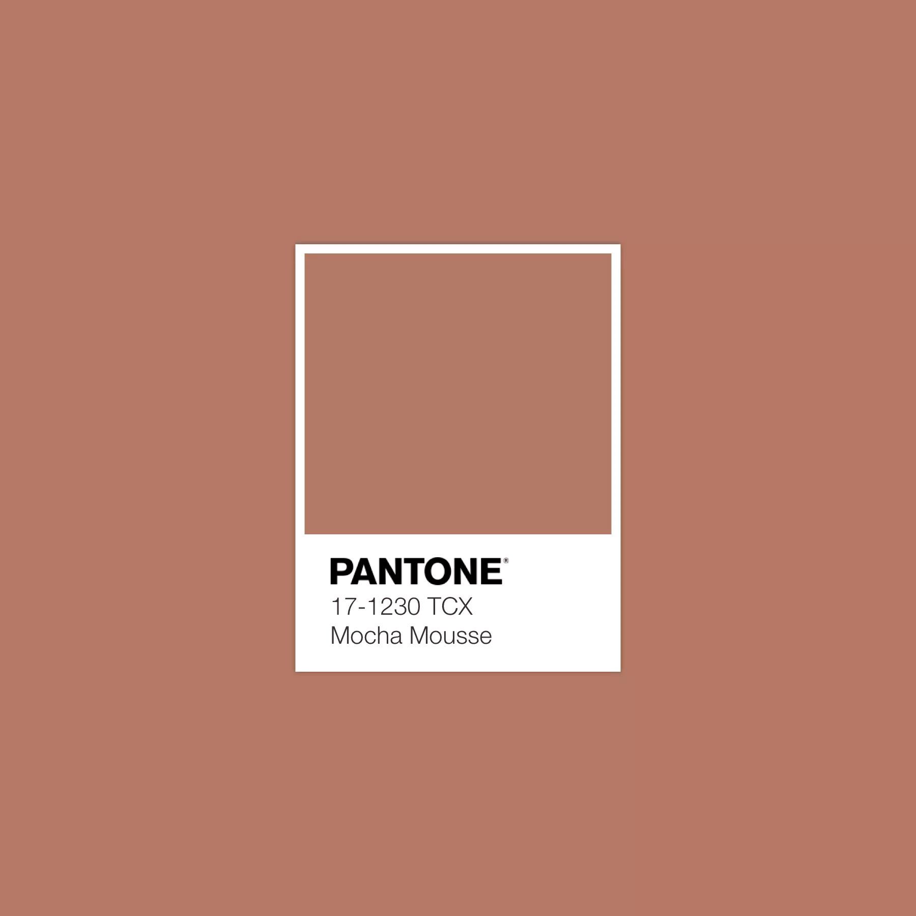 pantone-moccha-mouse pantone moccha mouse
